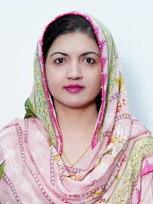 Professor Image